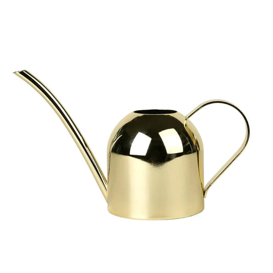 Metallic Watering Can