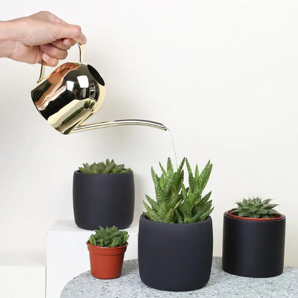 Metallic Watering Can