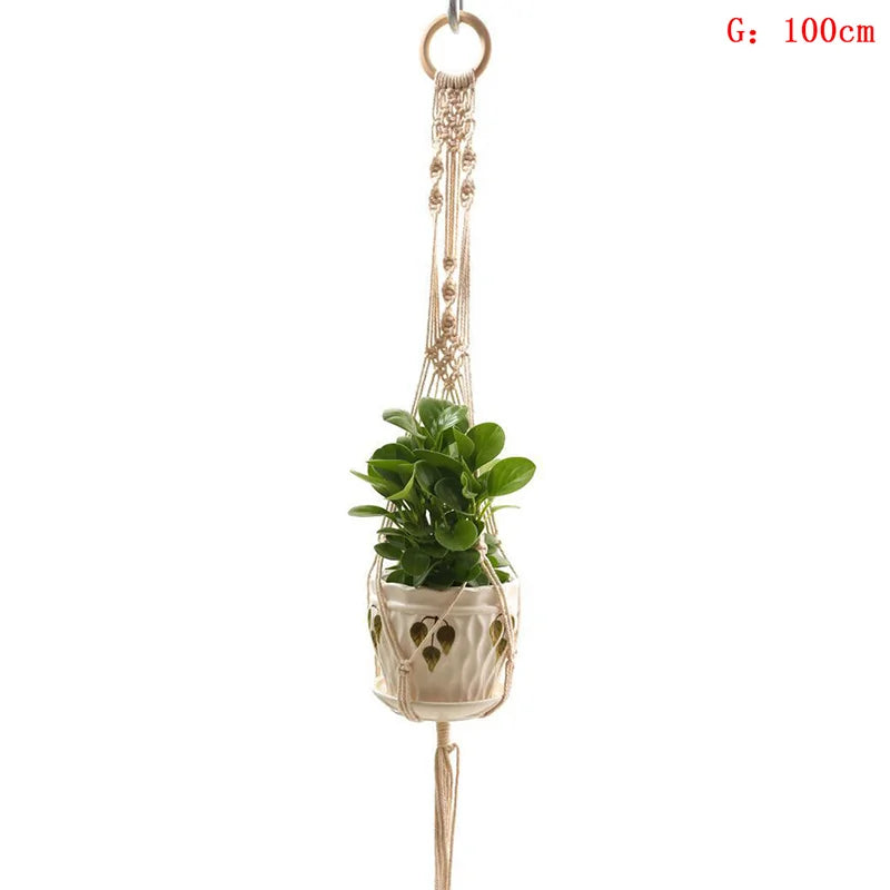 Plant Hanger And Flower Holder