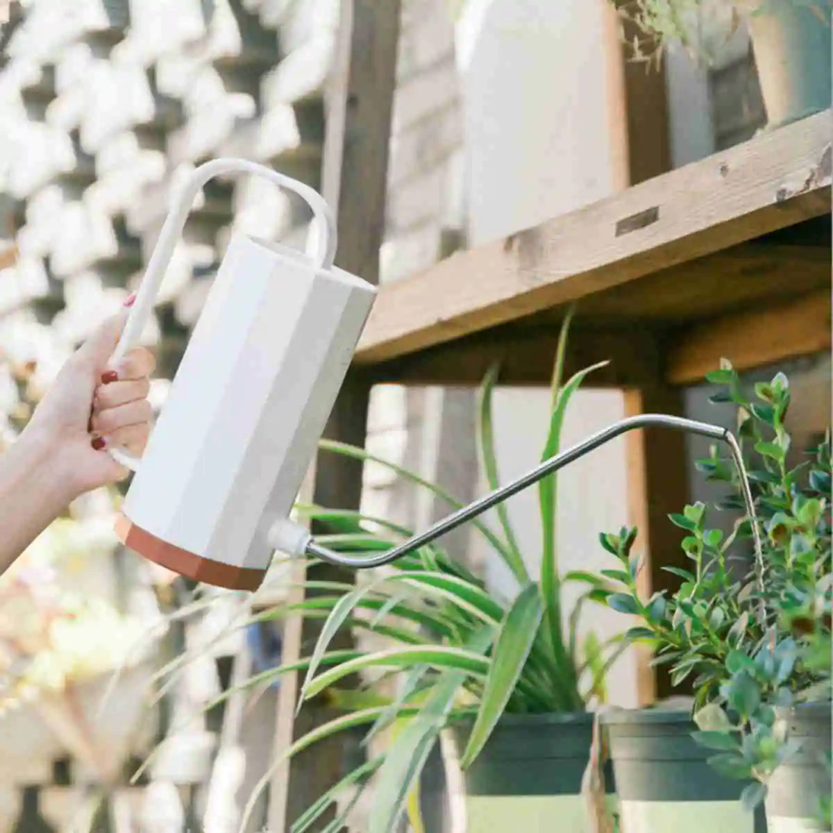 Stainless Steel Watering Can