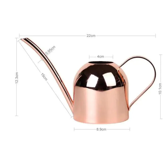 Metallic Watering Can