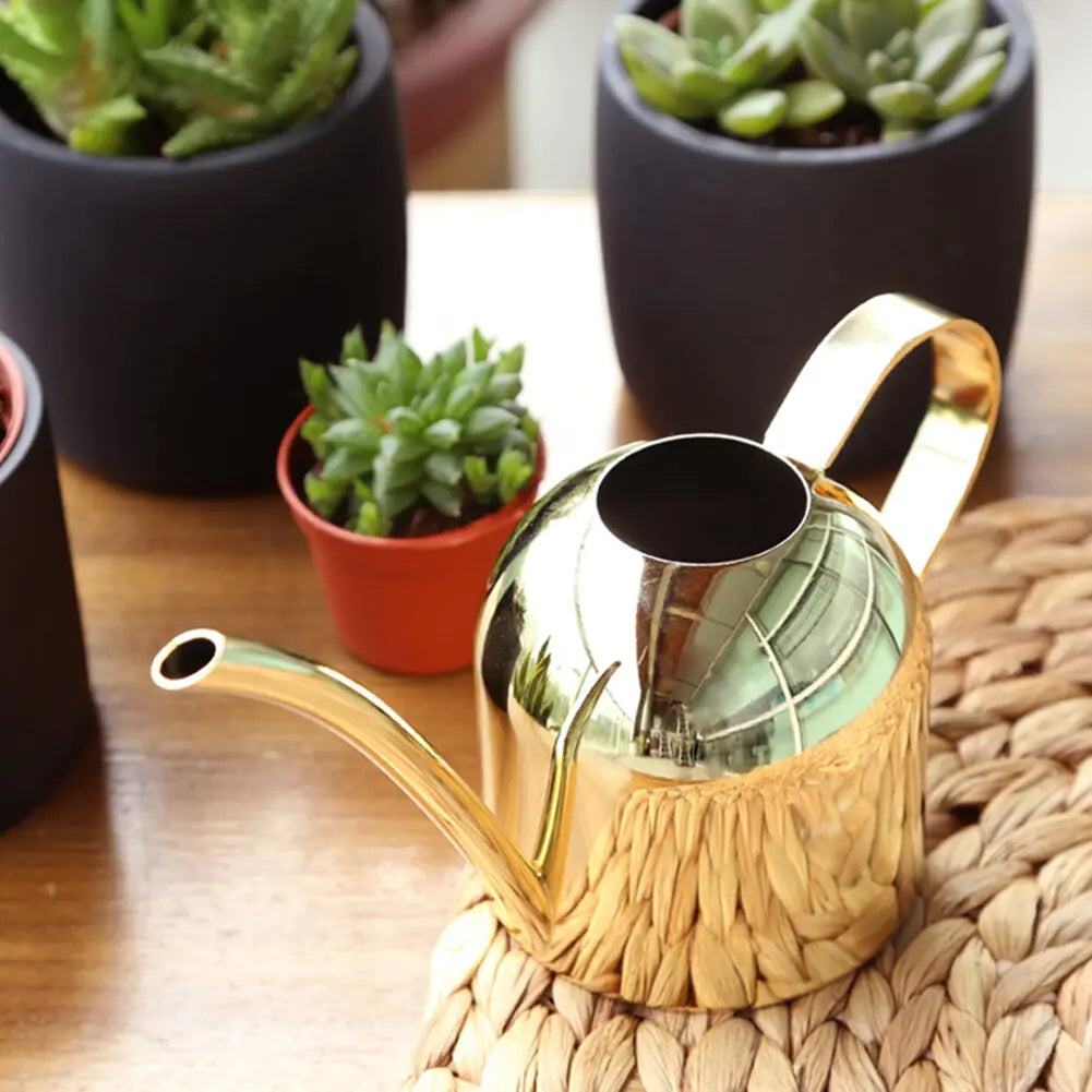 Metallic Watering Can